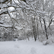 Schnee oben